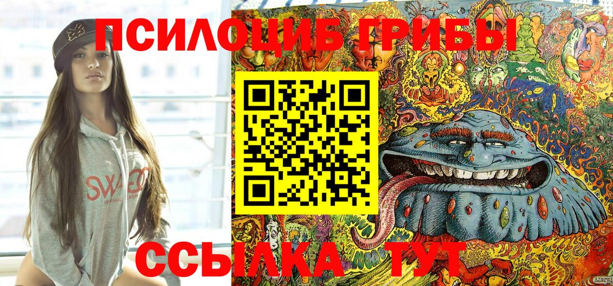 Феодосия  Псилоцибиновые грибы Psilocybe  Вход с VPN  Псилоцибиновые грибы GOLDEN TEACHER 